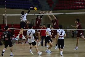 澳超前瞻：珀斯光荣状态重回正轨，西悉尼流浪者上轮德比称雄